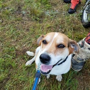 Meet your Posher, Gary